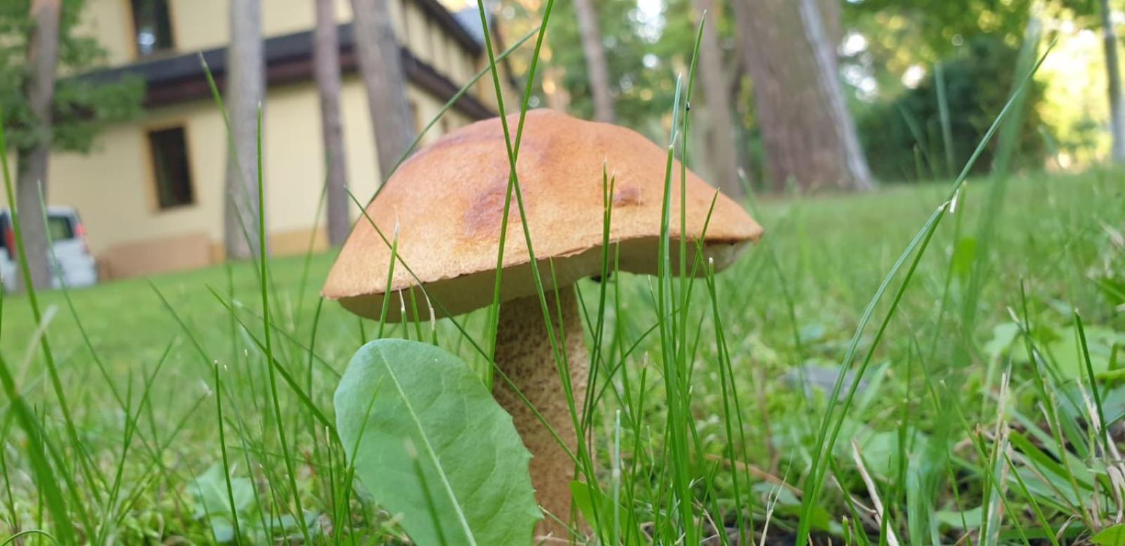 Villa Toskana Pogorzelica  Eksteriør bilde