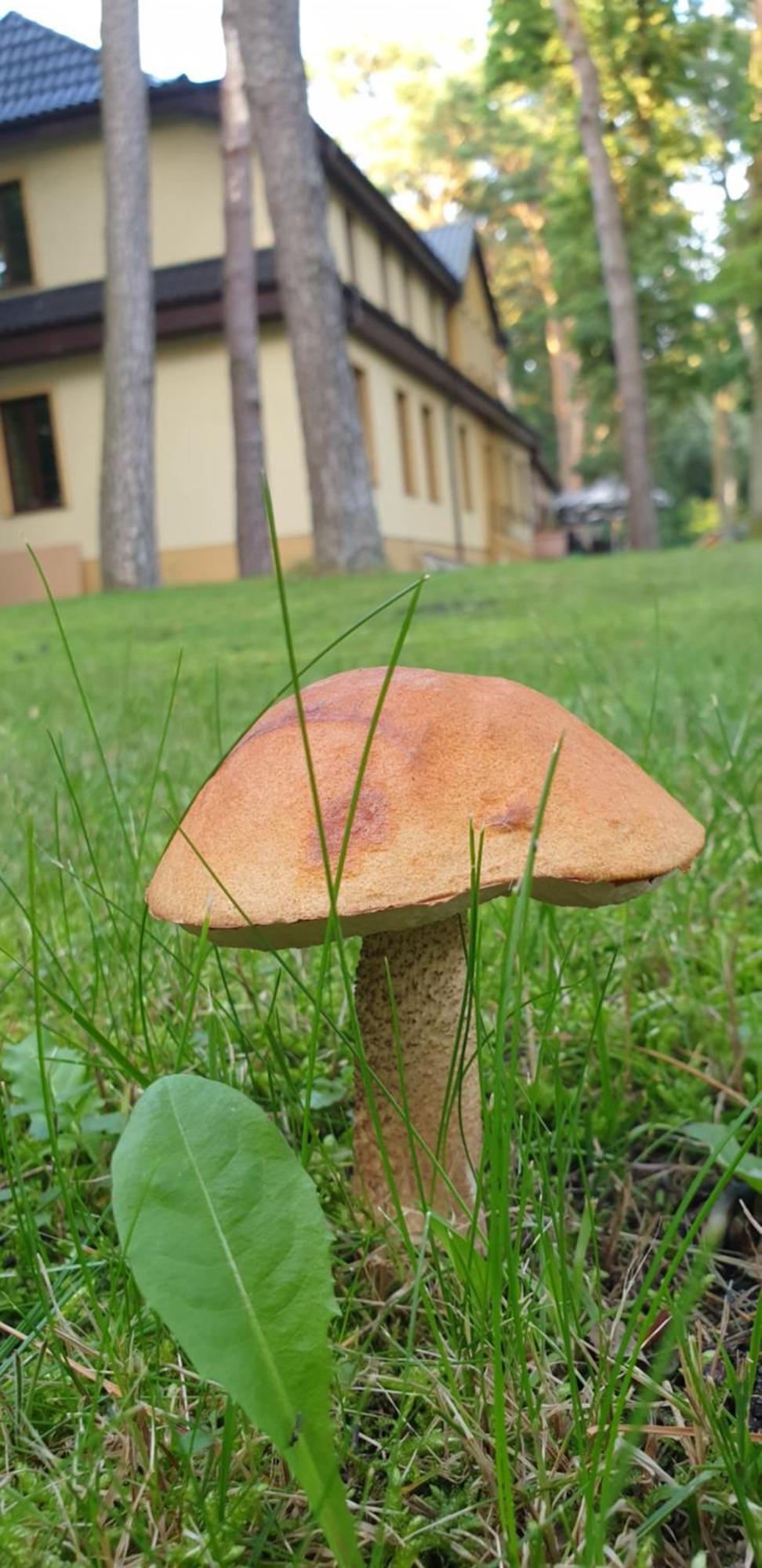 Villa Toskana Pogorzelica  Eksteriør bilde